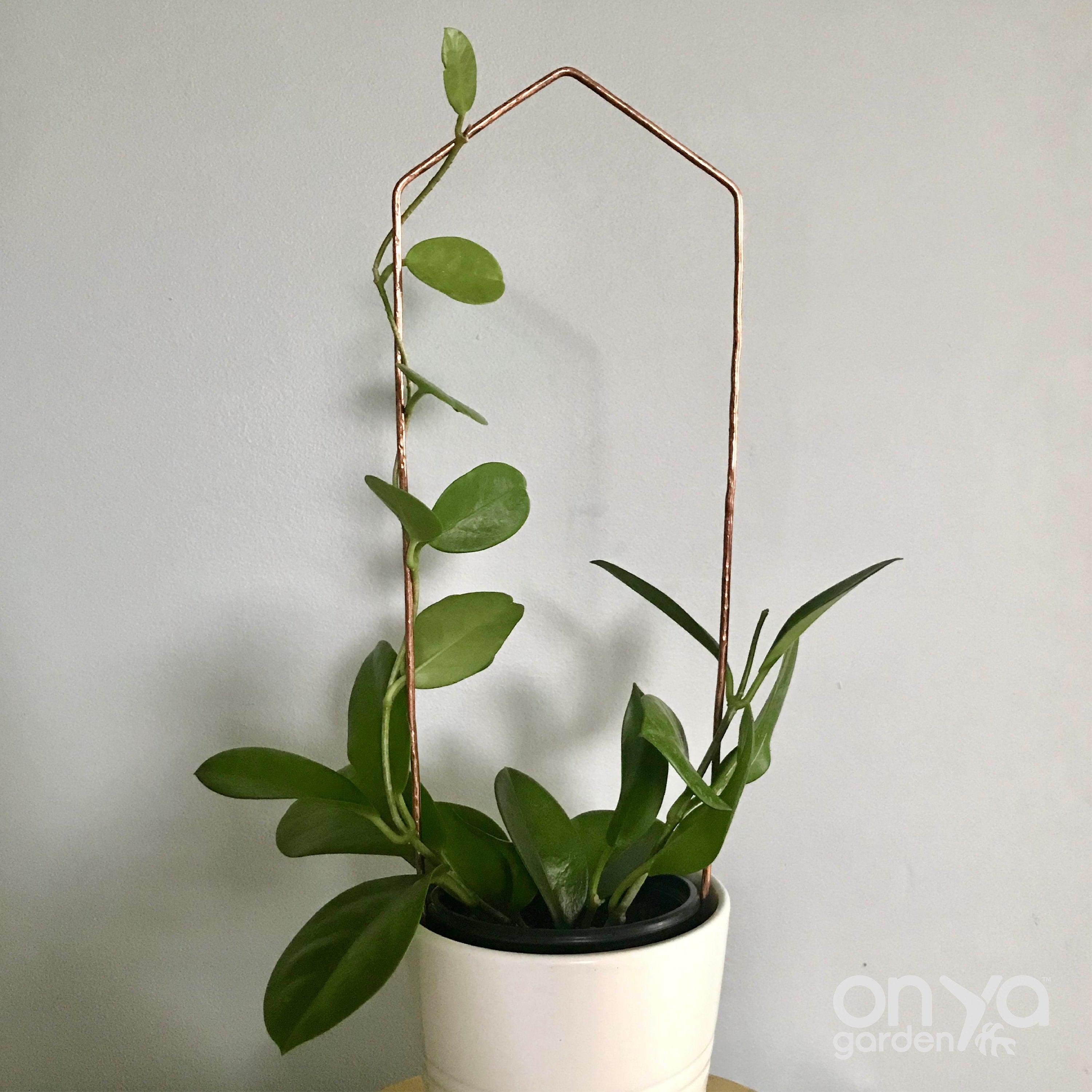 Copper Pointed Arch Trellis for House Plants, 4 Sizes Available