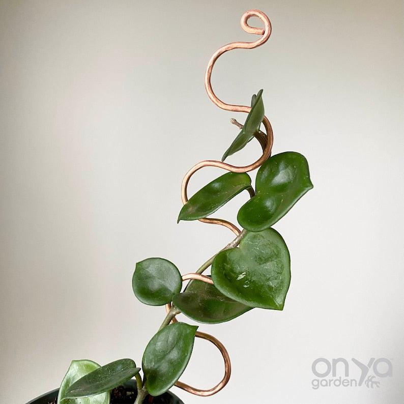 Copper Serpent Plant Stick, Decorative Plant Stake, 2 Lengths