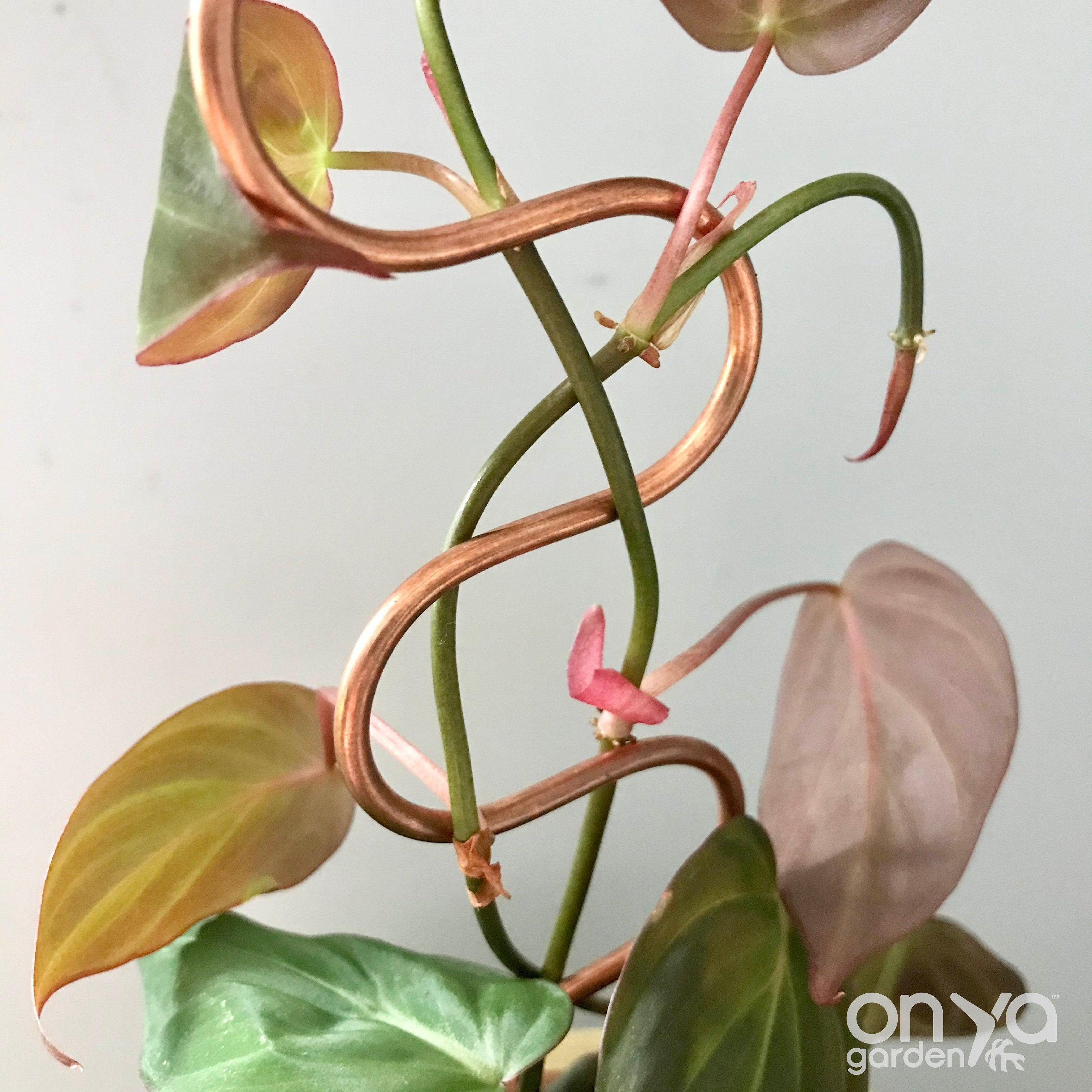 Copper Serpent Plant Stick, Decorative Plant Stake, 2 Lengths
