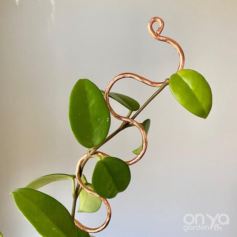 Copper Serpent Plant Stick, Decorative Plant Stake, 2 Lengths