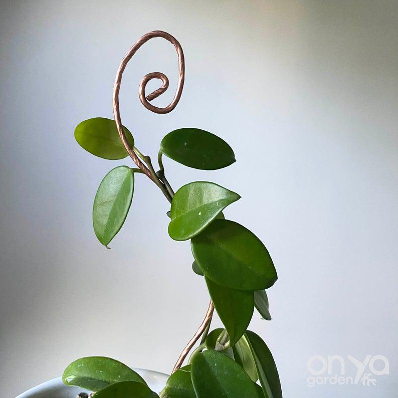 Copper Swirl Decorative Plant Stick, 2 Lengths Available