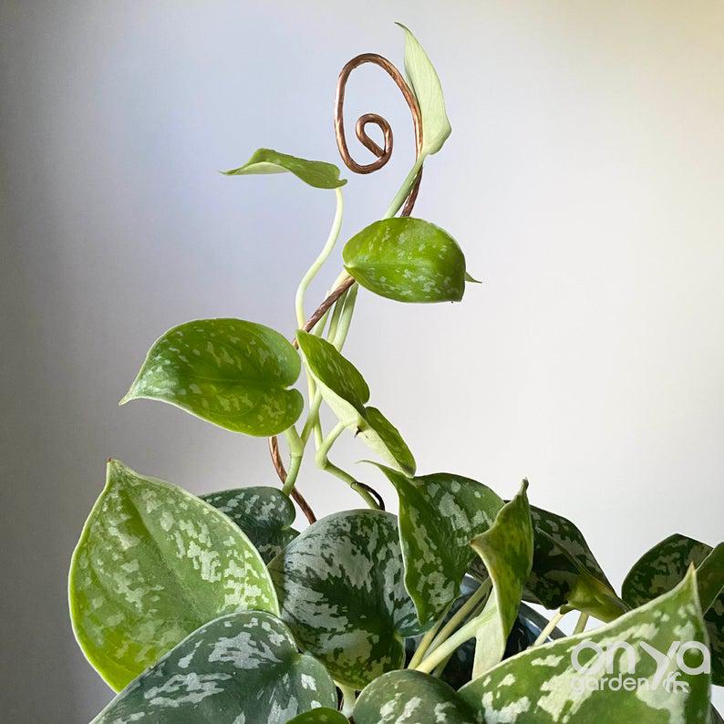 Copper Swirl Decorative Plant Stick, 2 Lengths Available