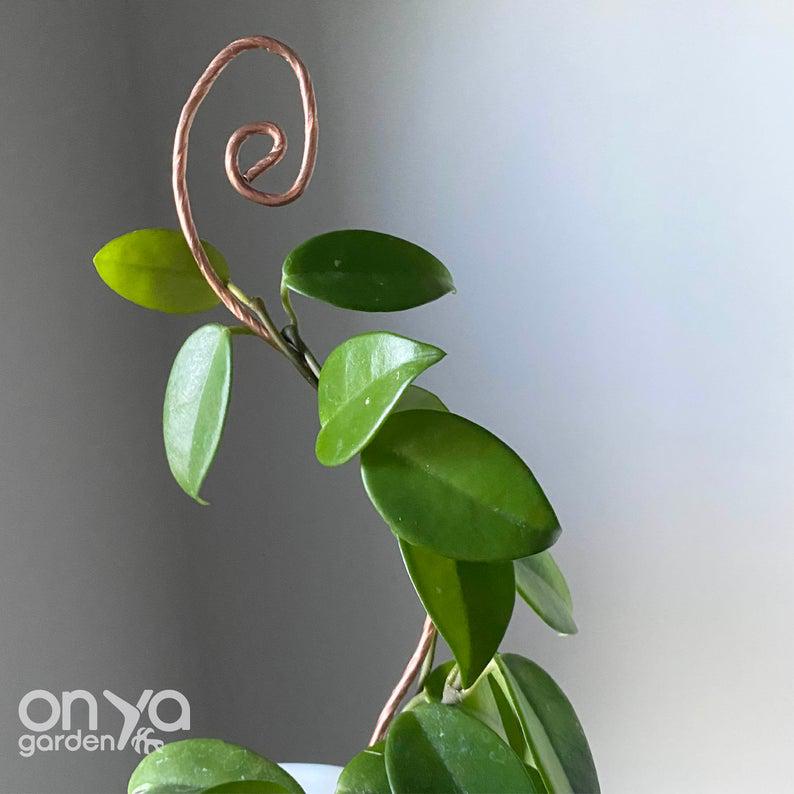 Copper Swirl Decorative Plant Stick, 2 Lengths Available