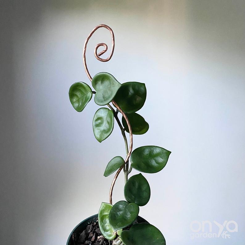 Copper Swirl Decorative Plant Stick, 2 Lengths Available