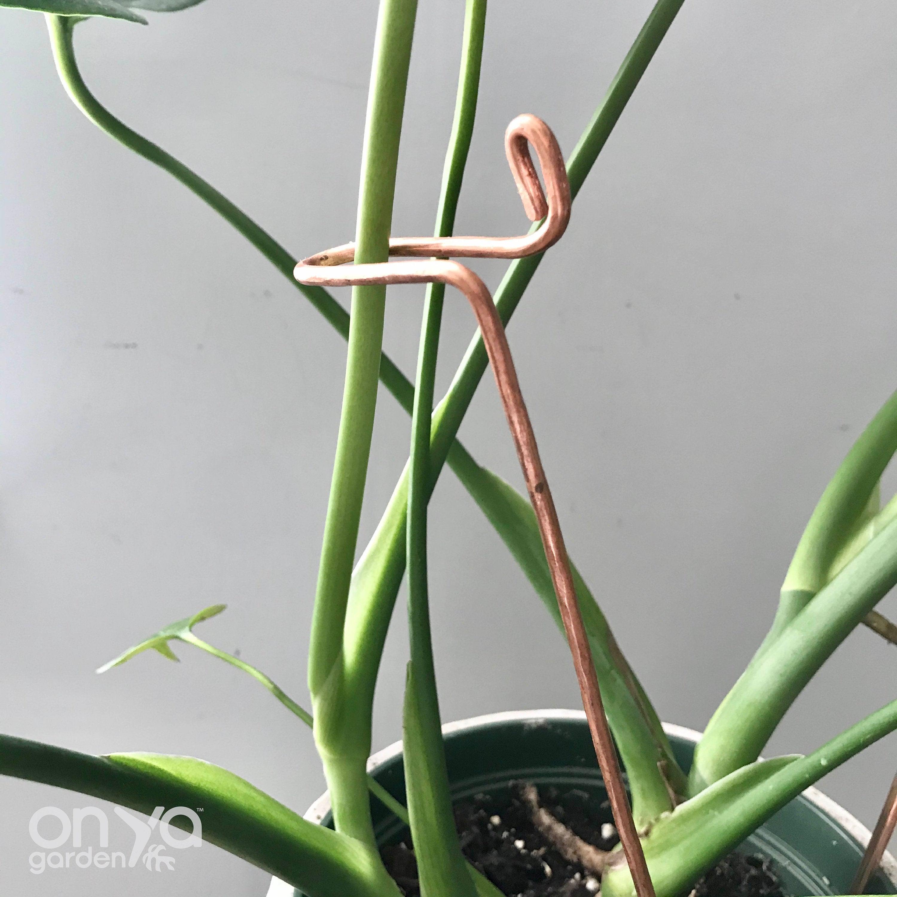 Copper Swizzle Decorative Plant Stick
