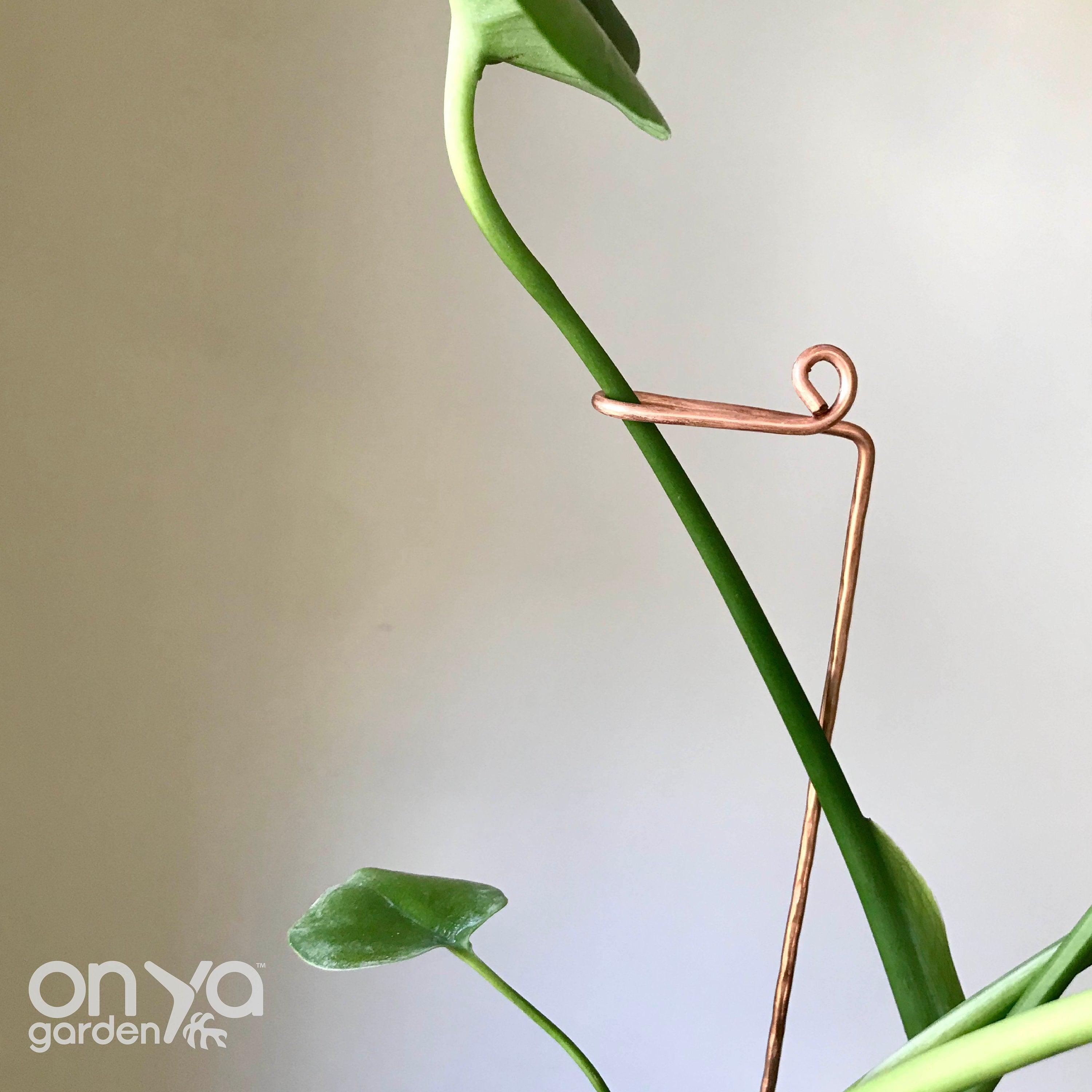 Copper Swizzle Decorative Plant Stick