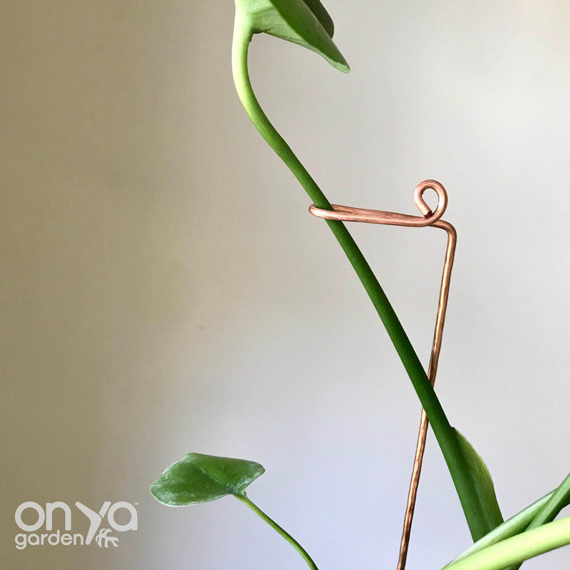 Copper Swizzle Decorative Plant Stick
