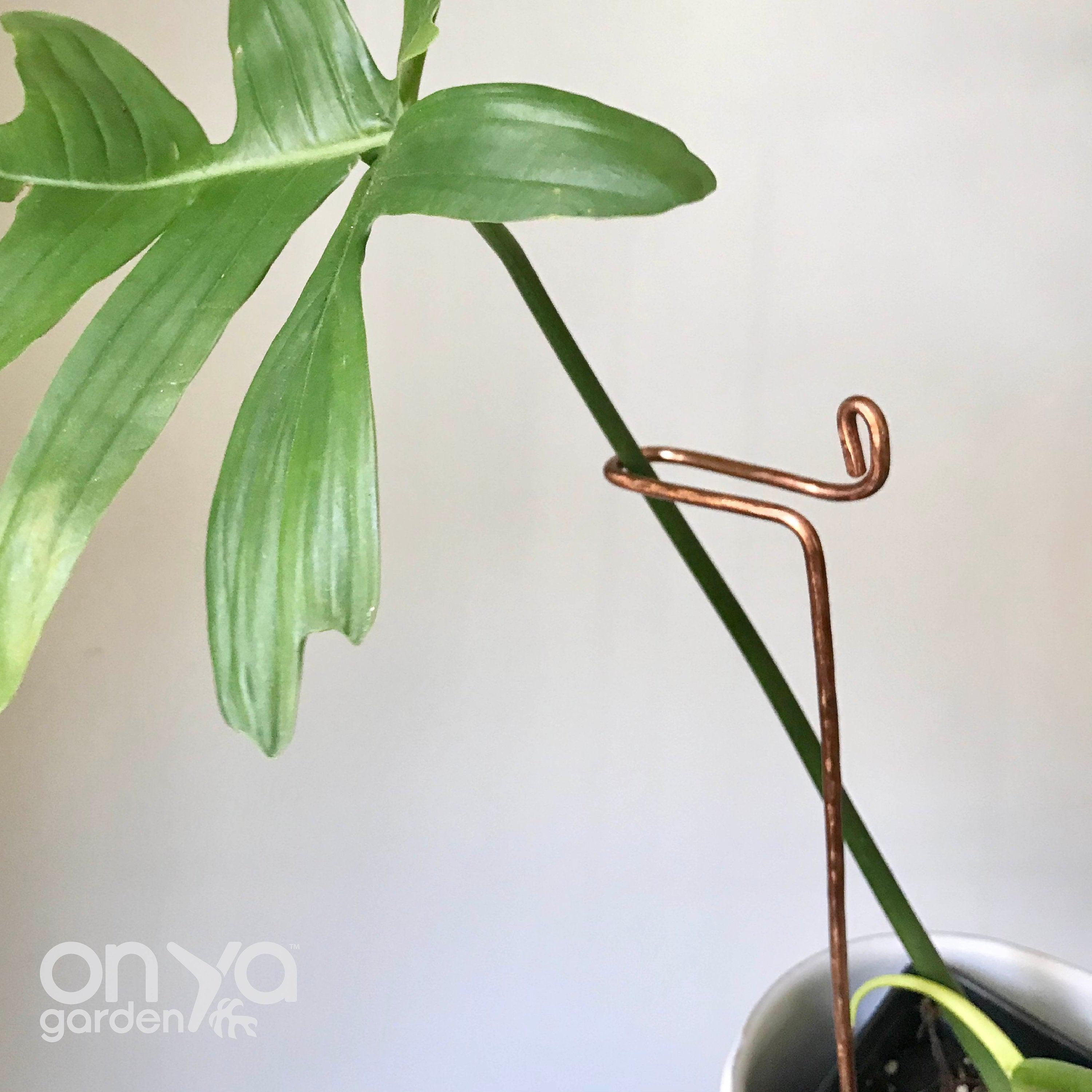 Copper Swizzle Decorative Plant Stick
