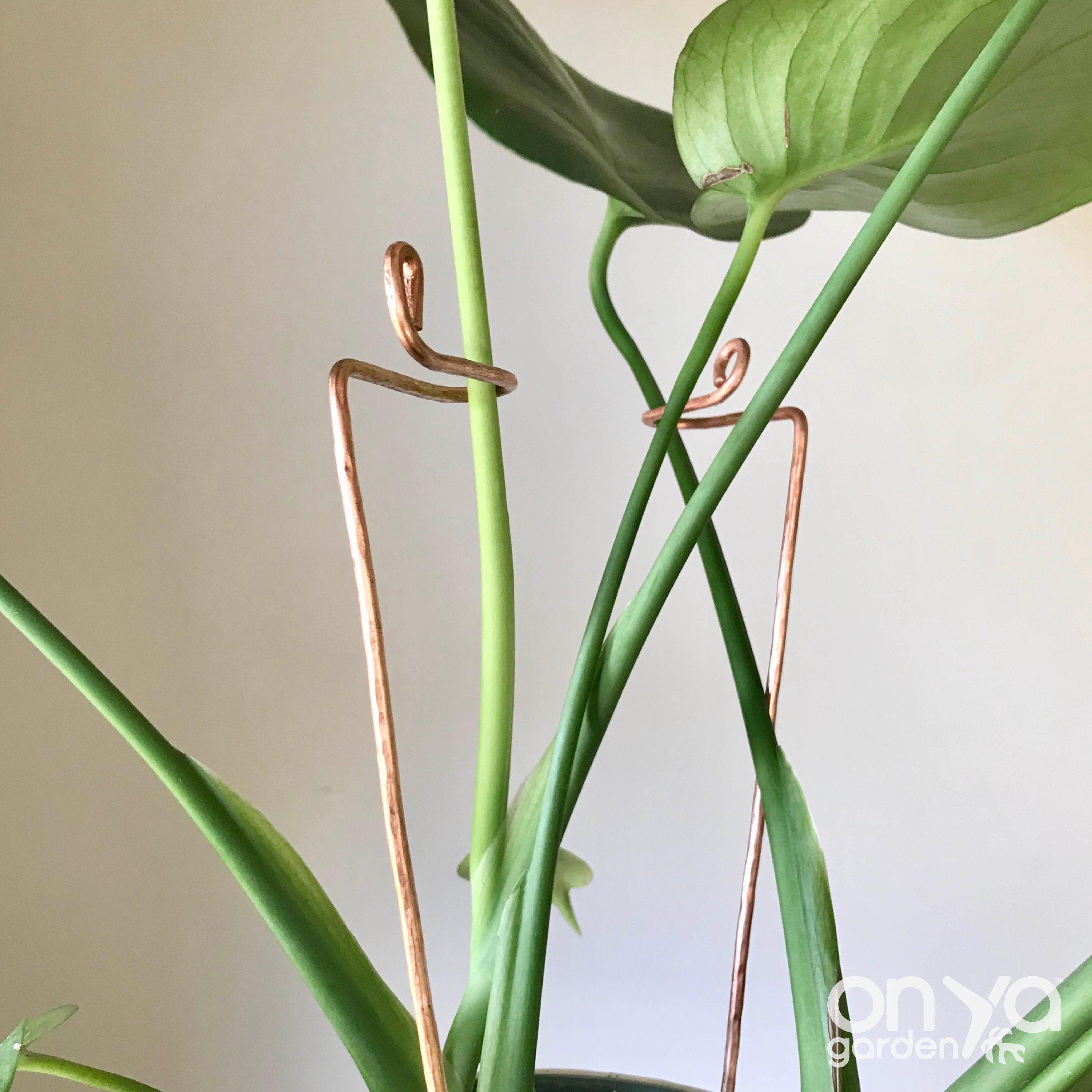 Copper Swizzle Decorative Plant Stick