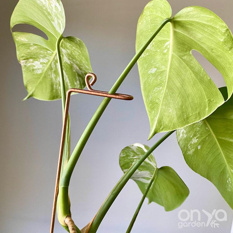 Copper Swizzle Decorative Plant Stick