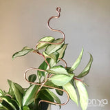 Copper Tree Decorative Plant Stick