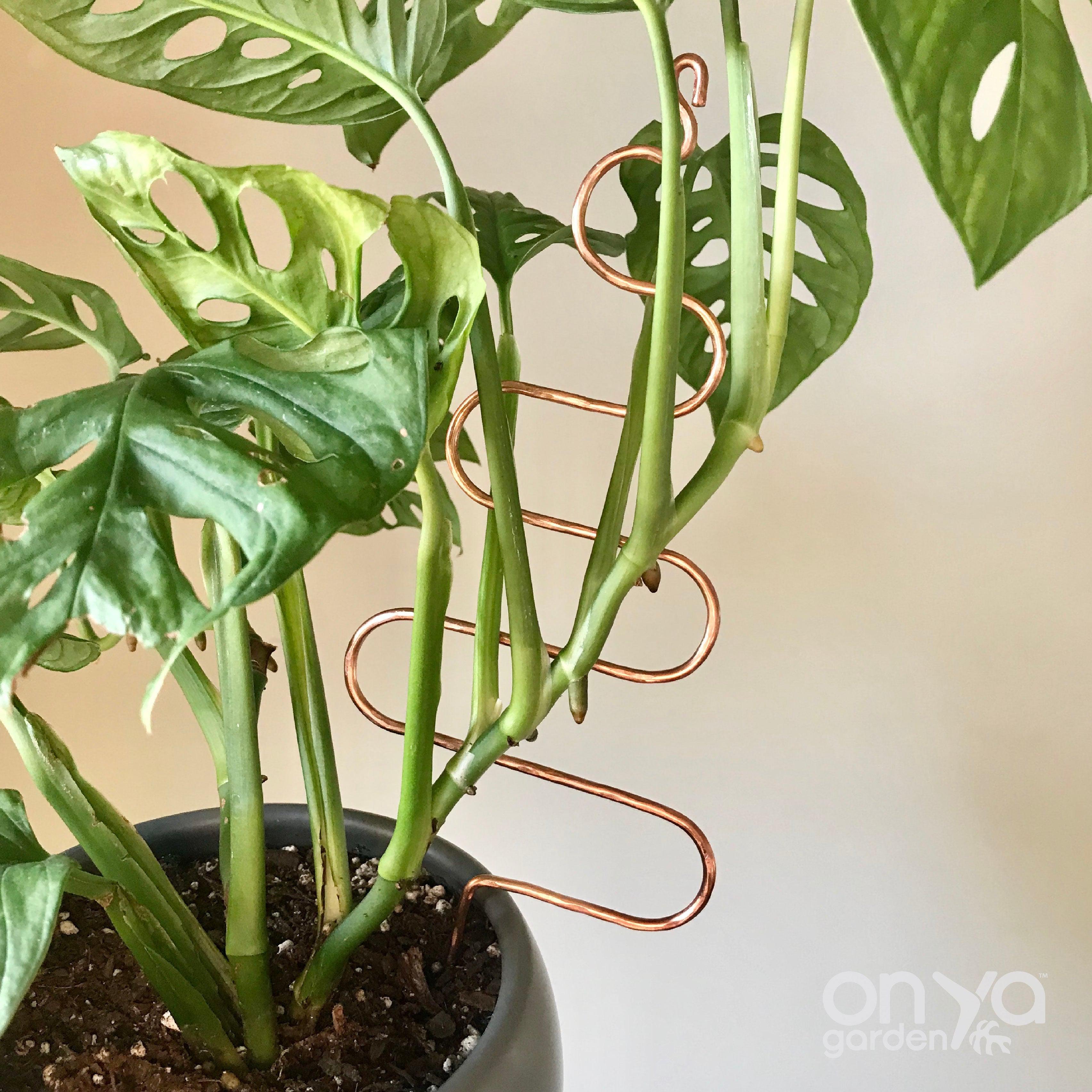 Copper Tree Decorative Plant Stick