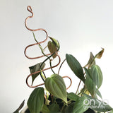Copper Tree Decorative Plant Stick