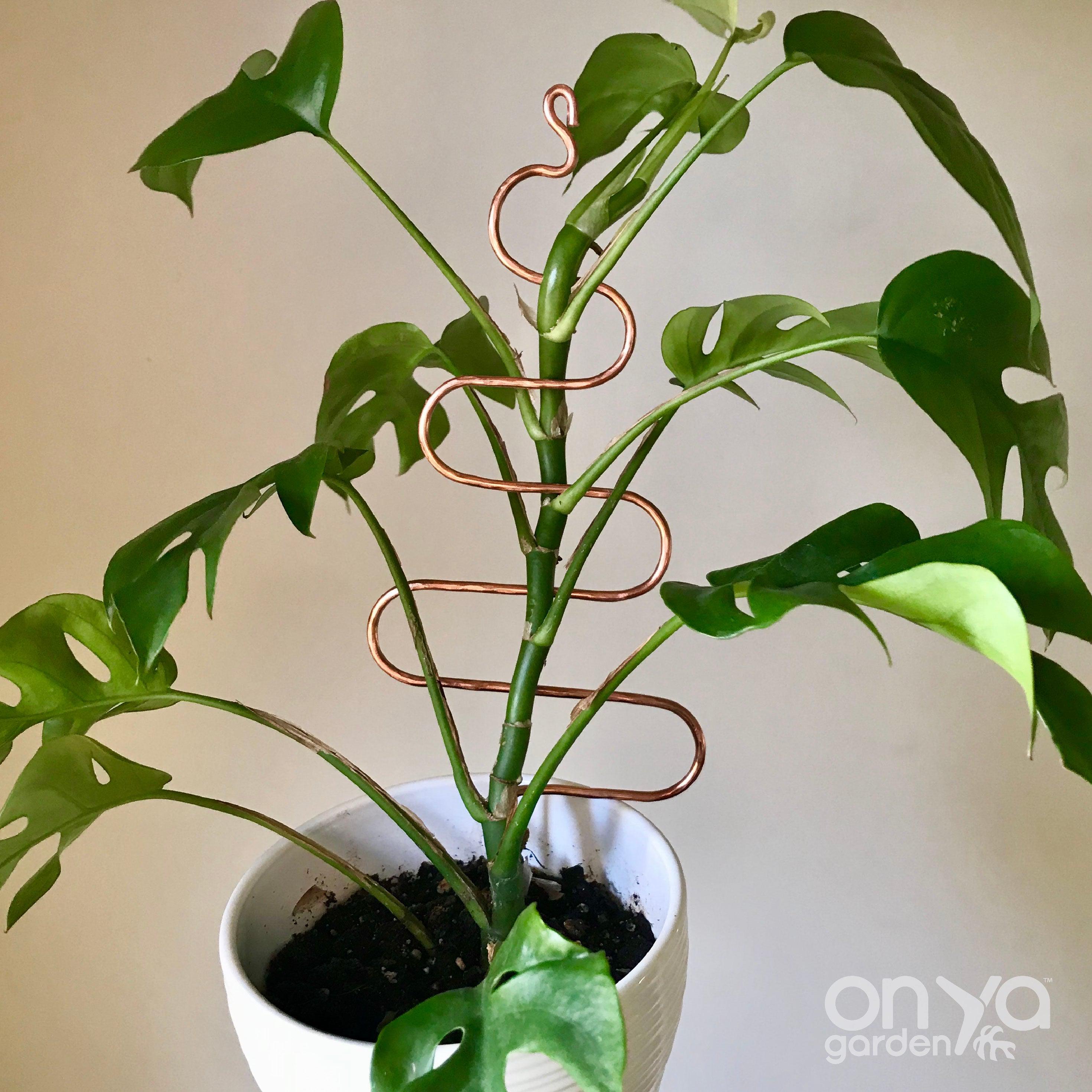 Copper Tree Decorative Plant Stick