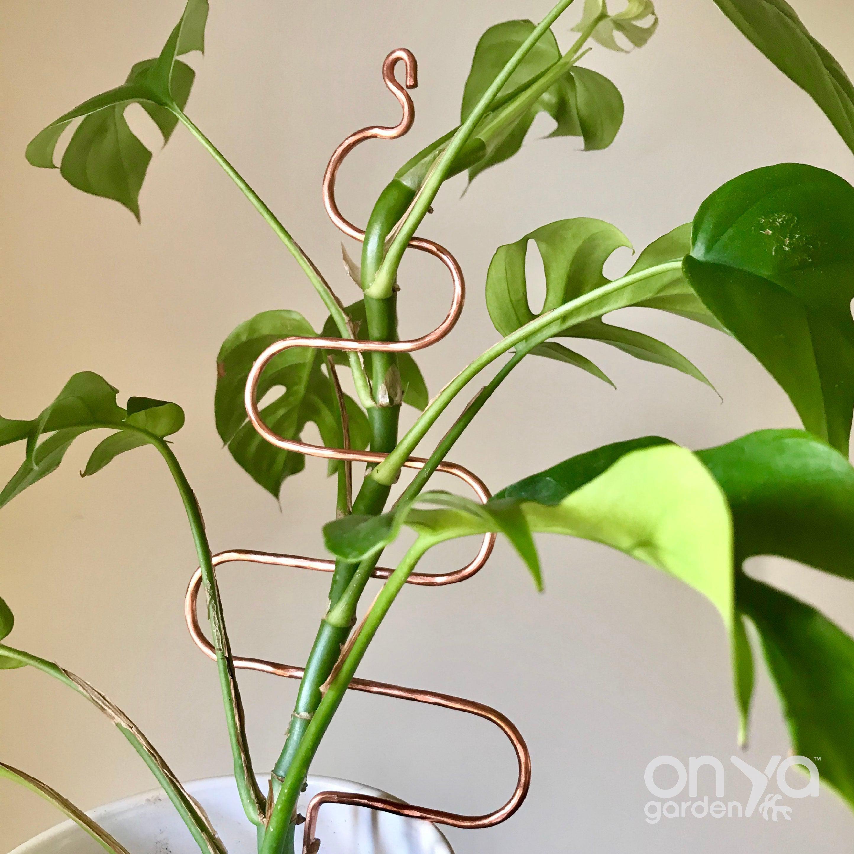 Copper Tree Decorative Plant Stick