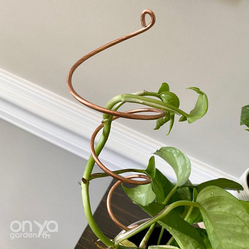 Copper Twirl and Whirl Plant Sticks, Decorative Plant Stakes