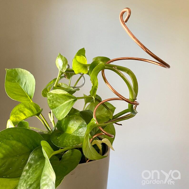 Copper Twirl and Whirl Plant Sticks, Decorative Plant Stakes
