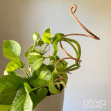 Copper Twirl and Whirl Plant Sticks, Decorative Plant Stakes