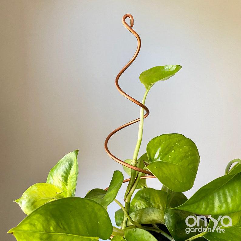 Copper Twirl and Whirl Plant Sticks, Decorative Plant Stakes
