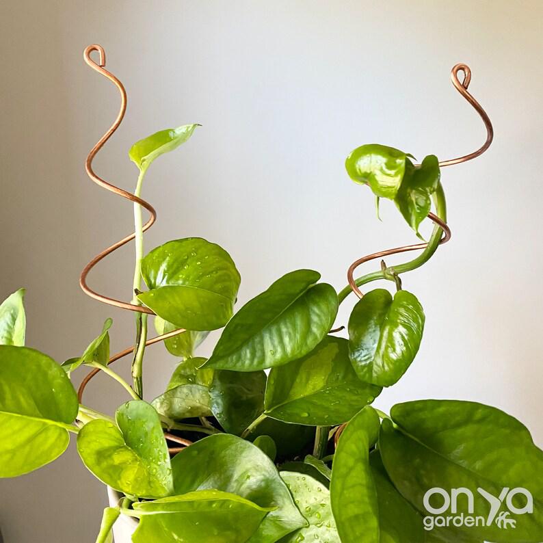 Copper Twirl and Whirl Plant Sticks, Decorative Plant Stakes