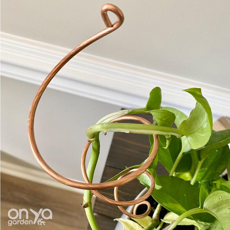 Copper Twirl and Whirl Plant Sticks, Decorative Plant Stakes