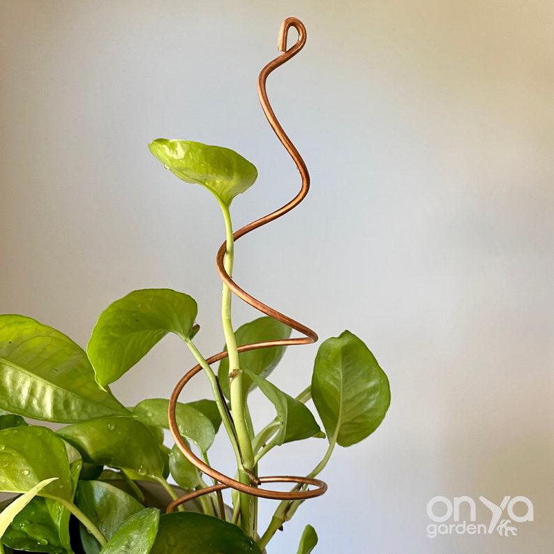 Copper Twirl and Whirl Plant Sticks, Decorative Plant Stakes