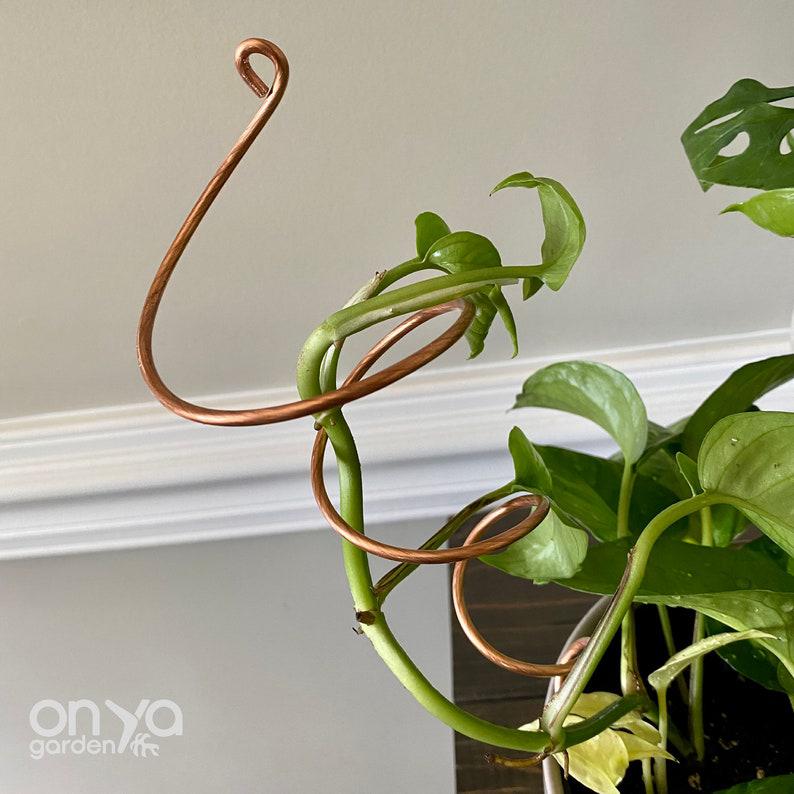Copper Twirl and Whirl Plant Sticks, Decorative Plant Stakes