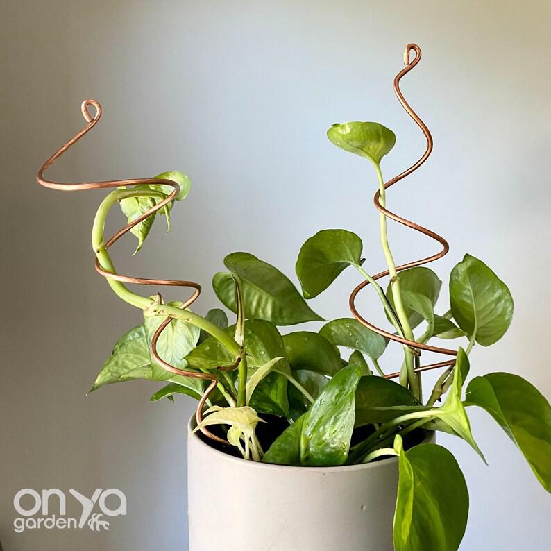 Copper Twirl and Whirl Plant Sticks, Decorative Plant Stakes