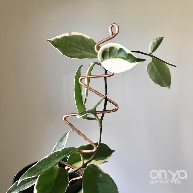 Copper Zig Zag Plant Stick, Plant Support Stake
