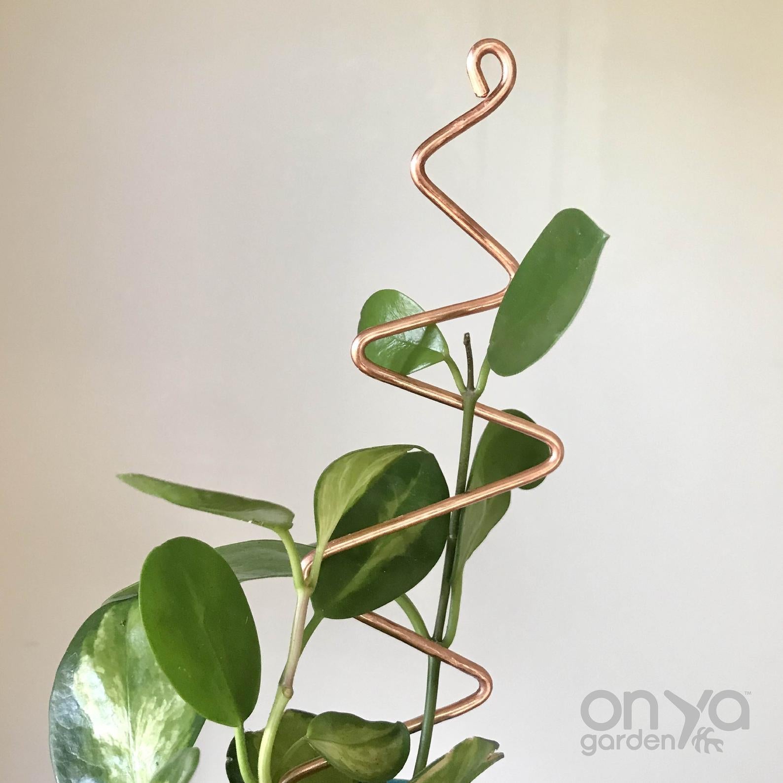 Copper Zig Zag Plant Stick, Plant Support Stake