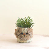 Dog seagrass planter basket - Henderson Garden Supply