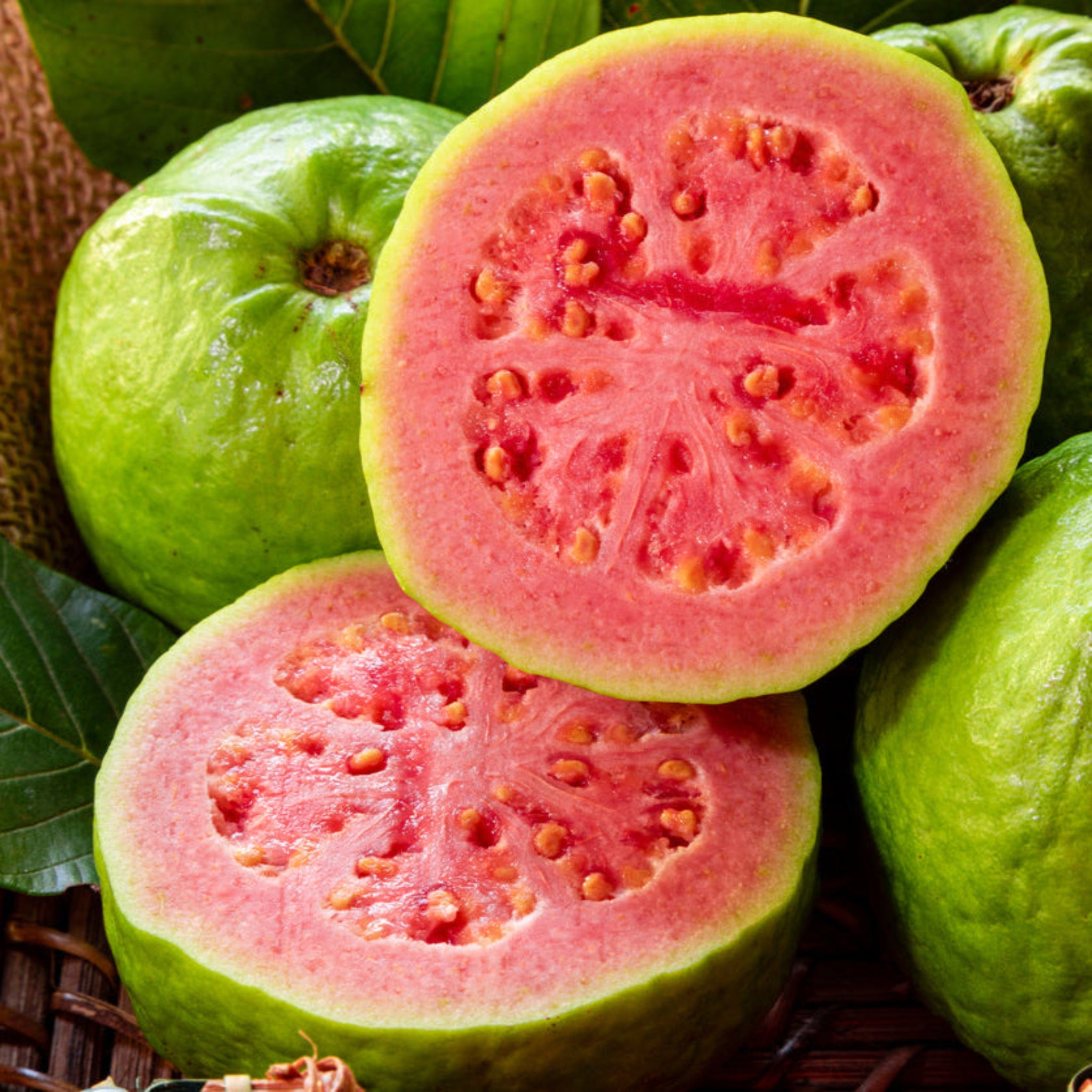 Guava fruit with a close-up of a sliced guava revealing its pink flesh.  Henderson Garden Supply