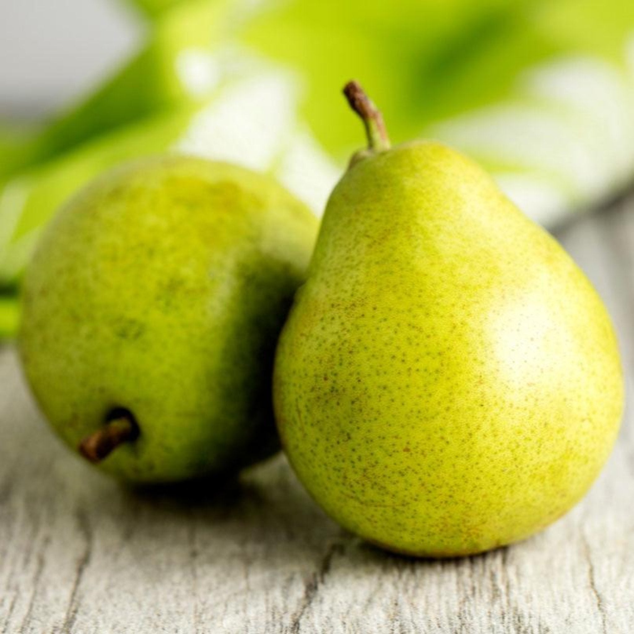 Two green pears on a wooden surface with a blurred background - Henderson Garden Supply