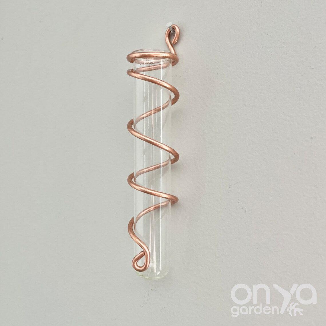 Copper Spiral Propagation Wall Hanger, Hanging Propagation Station