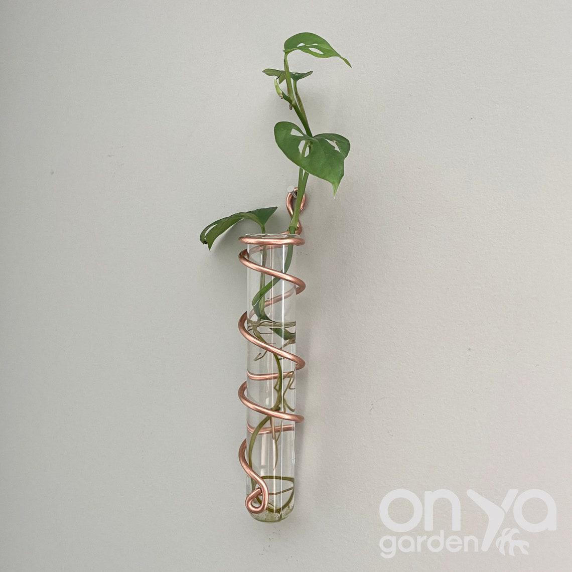 Copper Spiral Propagation Wall Hanger, Hanging Propagation Station