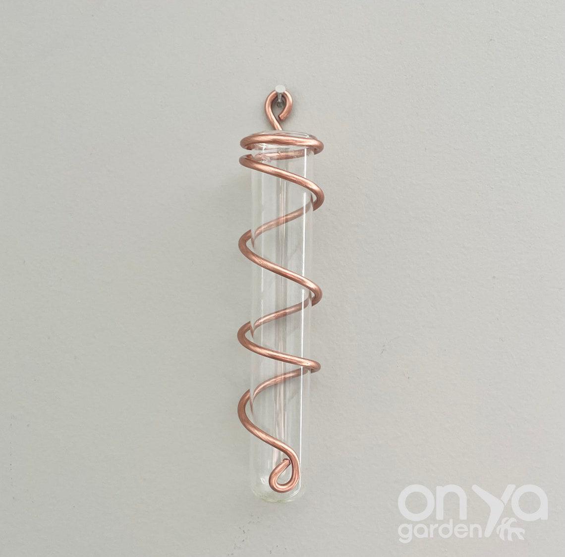 Copper Spiral Propagation Wall Hanger, Hanging Propagation Station