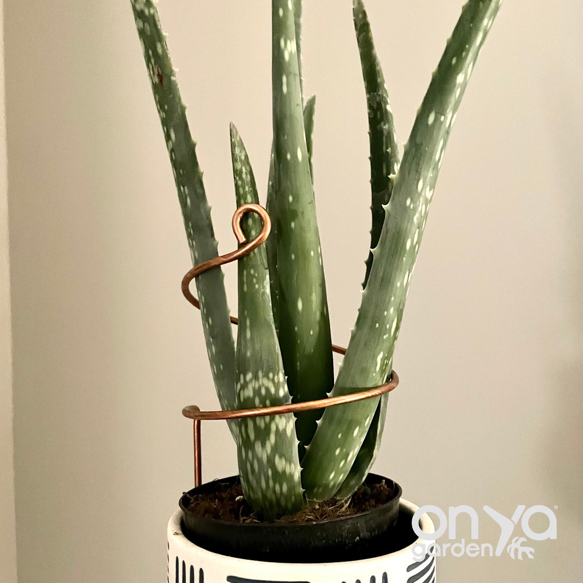 Copper Wide Curl Plant Stick, Base Trellis Plant Stake