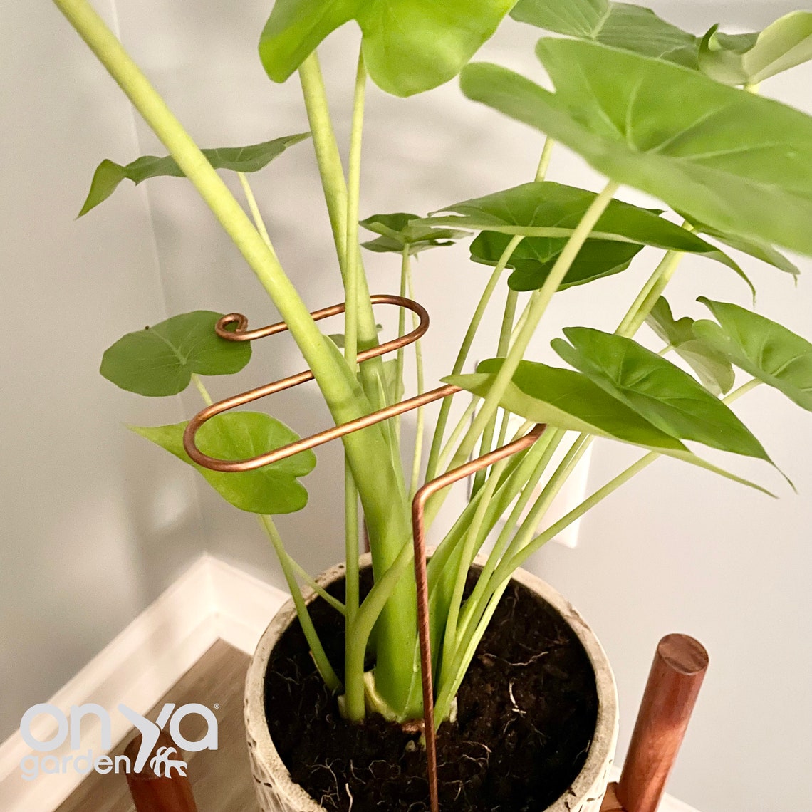 Copper Antenna Plant Stick, Decorative Plant Stake, 3 Lengths