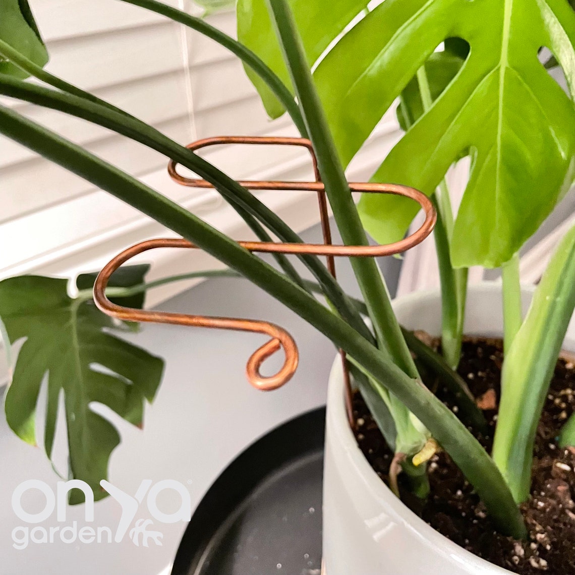 Copper Antenna Plant Stick, Decorative Plant Stake, 3 Lengths