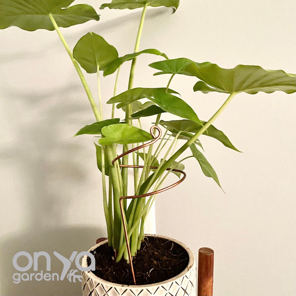Copper Wide Curl Plant Stick, Base Trellis Plant Stake