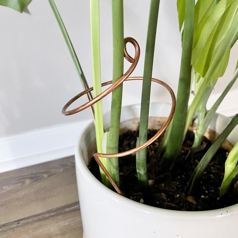 Copper Wide Curl Plant Stick, Base Trellis Plant Stake