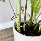 Copper Wide Curl Plant Stick, Base Trellis Plant Stake
