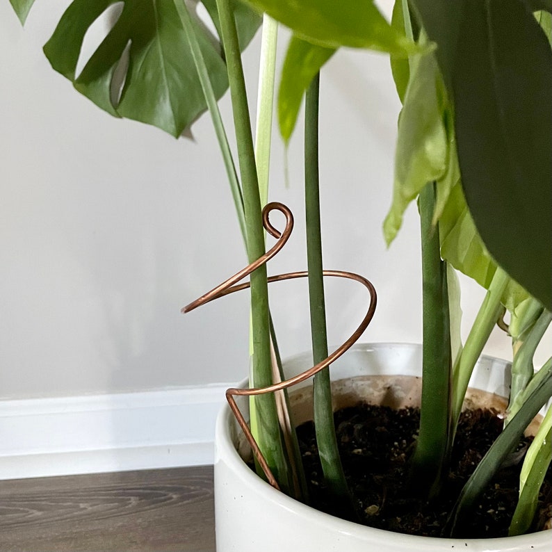 Copper Wide Curl Plant Stick, Base Trellis Plant Stake