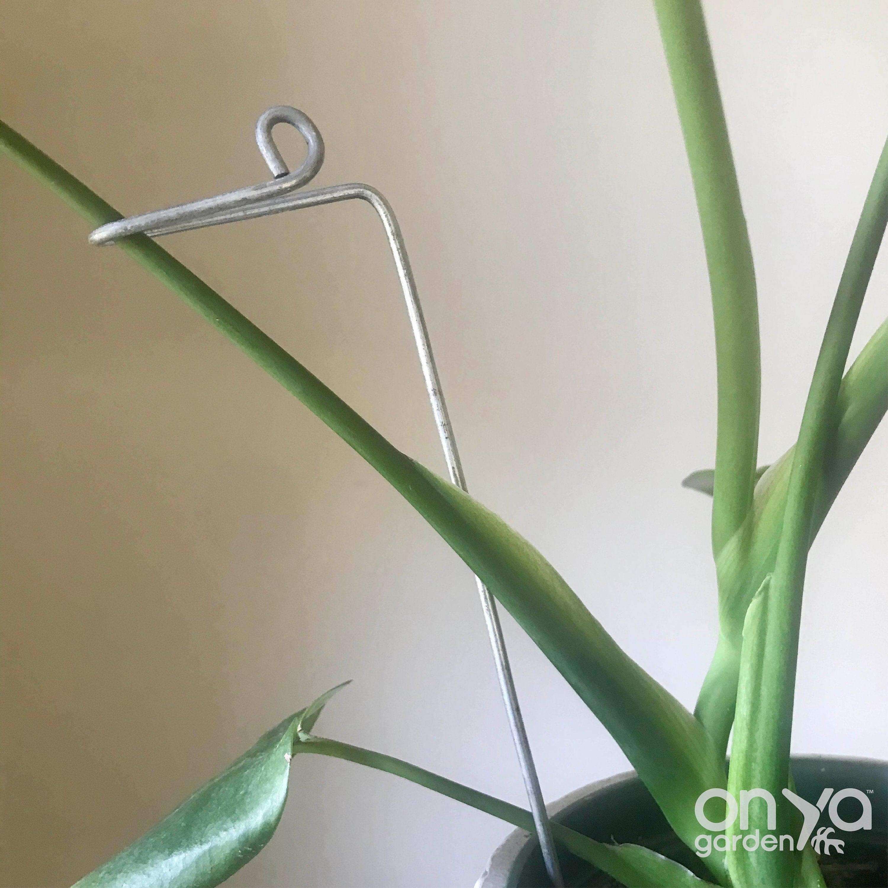 Steel Swizzle Plant Stick, Decorative Plant Stake