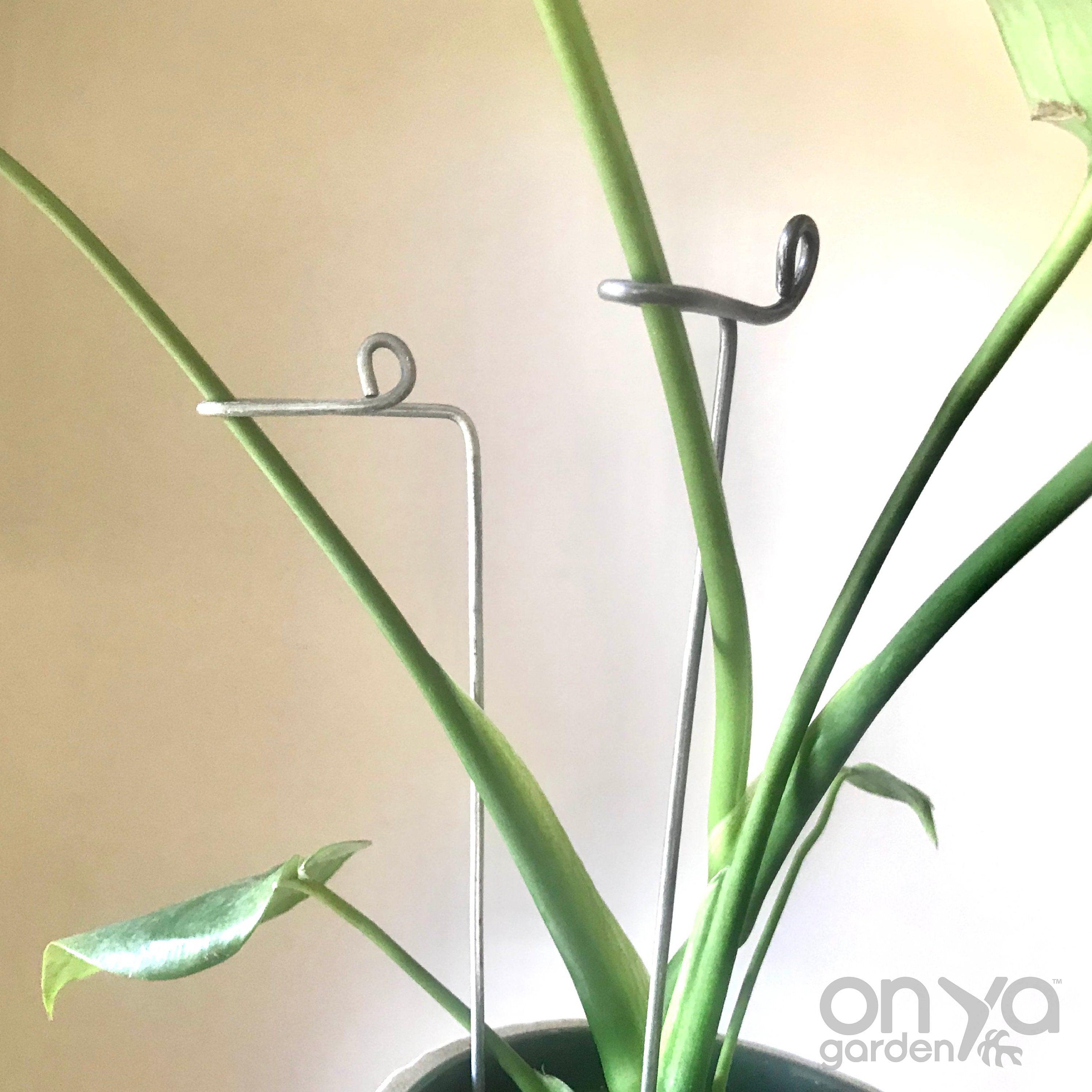 Steel Swizzle Plant Stick, Decorative Plant Stake