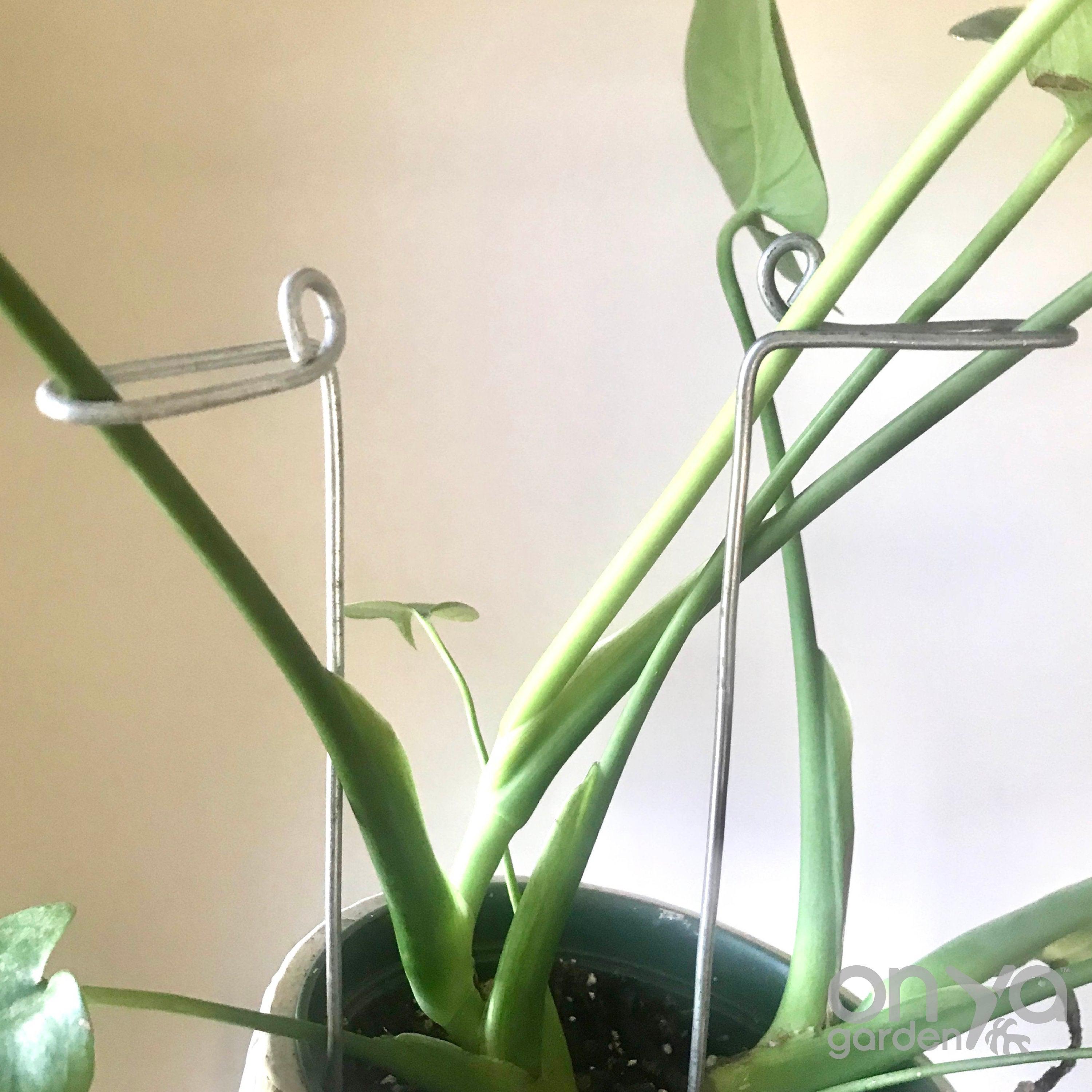 Steel Swizzle Plant Stick, Decorative Plant Stake
