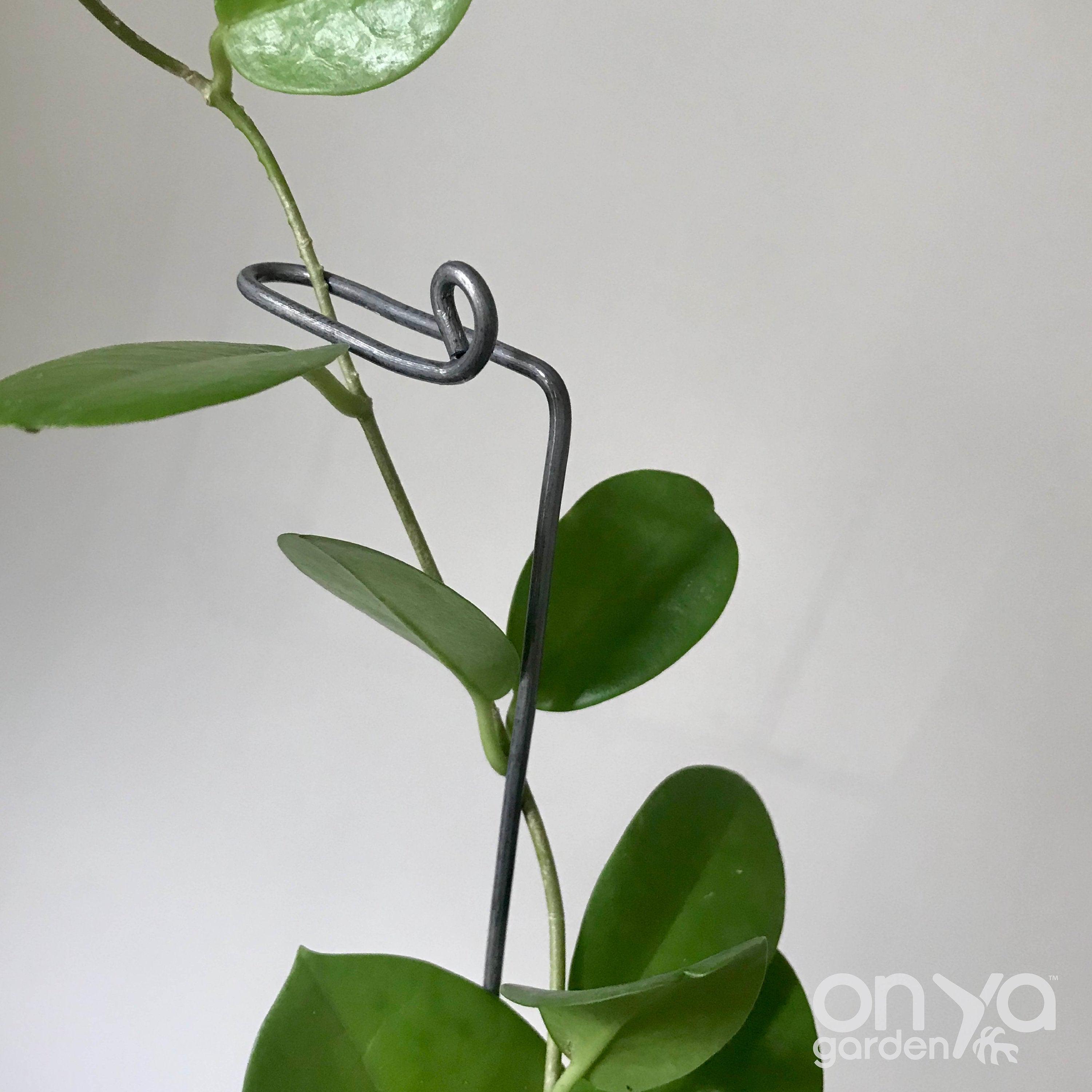 Steel Swizzle Plant Stick, Decorative Plant Stake
