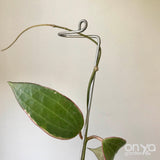 Steel Swizzle Plant Stick, Decorative Plant Stake