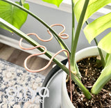 Copper Splash Plant Stick, Decorative Plant Stake, 3 Lengths