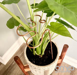 Copper Splash Plant Stick, Decorative Plant Stake, 3 Lengths
